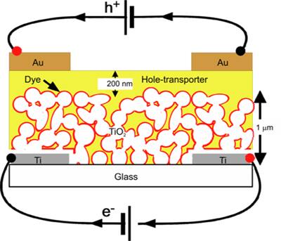 Schematic diagram of dye-sensitized solar cell